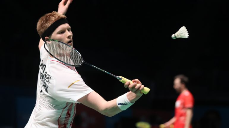 法甲新星巴 法甲新星巴